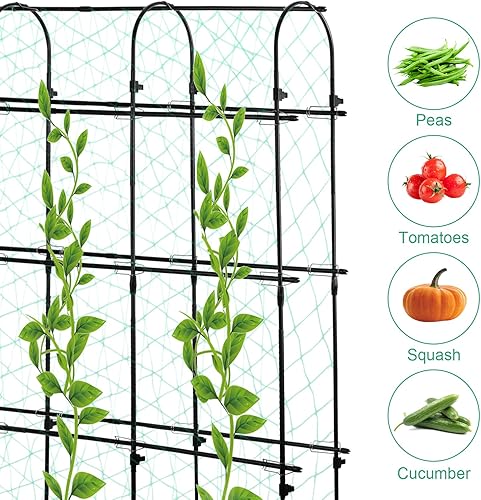 Miniatura 4 de Enrejado de pepino de jardín de 71 x 71 pulgadas para plantas trepadoras al aire libre, enrejado de metal grande en forma de U negro, soporte para