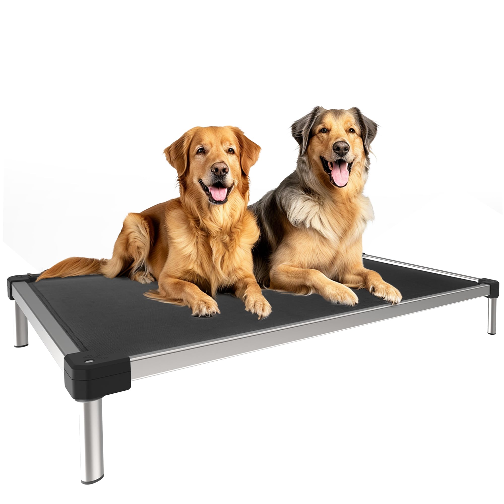 FXW TitanNest Chew-Proof Elevated Dog Bed, Raised Cot for Indoor/Outdoor/Camping Use, Durable & Waterproof Cooling Pet Bed for Extra Large Dogs, 56.0"
