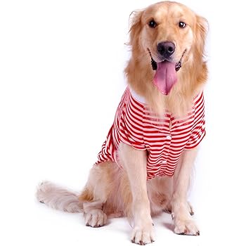 xxxl dog shirts