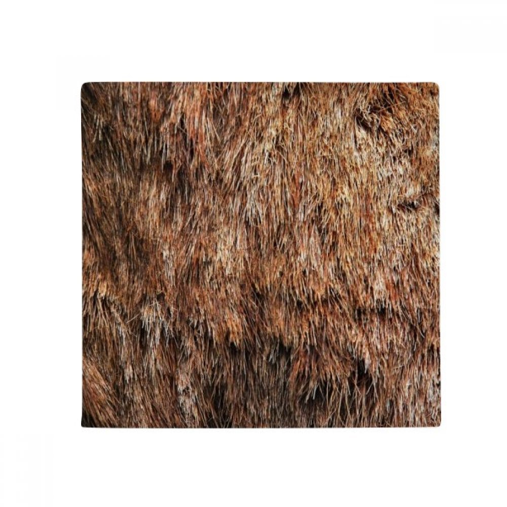 Tapis de salon ours plume pour sublimer l'entrée de votre cuisine