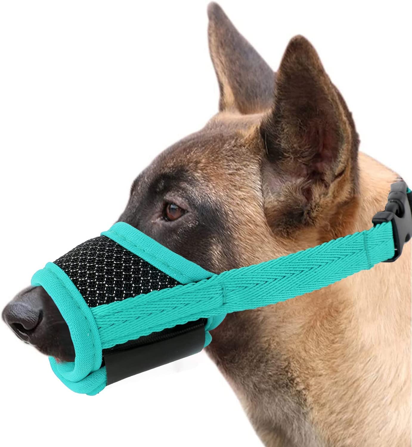 What To Put On Baseboards To Keep Dogs From Chewing