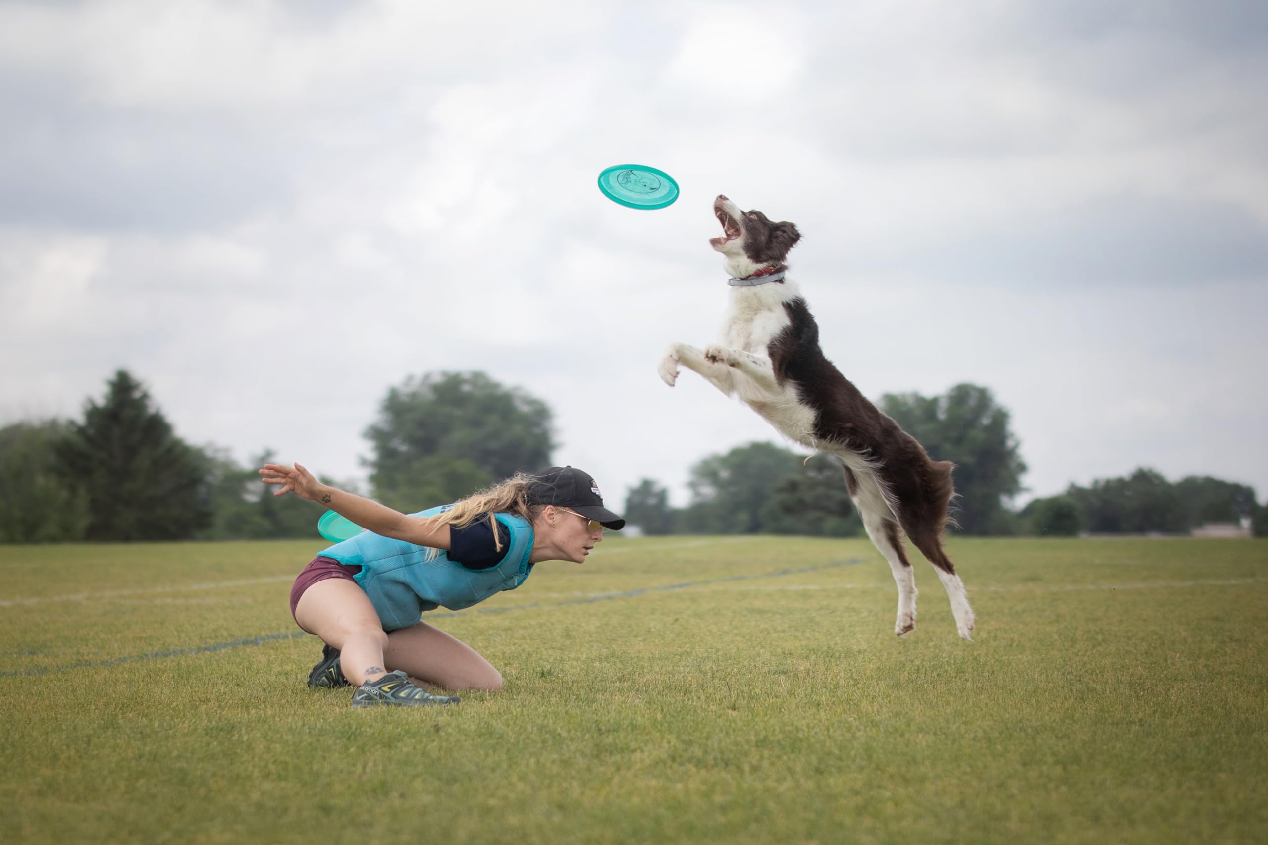 Amazon | Hero Disc USA Hero Air 235 犬用ディスク、屋外犬のおもちゃ