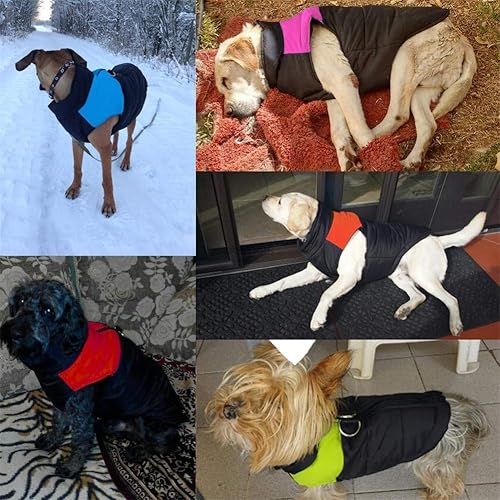 Miniatura 5 de SOCHII - Ropa para perros pequeños, medianos, grandes, carlinos, cachorros, chihuahuas, chaquetas, chaquetas, chaquetas, chaquetas, chaquetas,