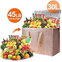 Vista 200 de Bodaon Paquete de 1 bolsas de compras reutilizables aisladas, bolsa enfriadora de picnic XL con cremallera superior para frío, bolsa aislada