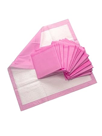 Creative Pet Group Murphy & Roxy Pets Super Absorbent, Six-Layer, Scented Training Pads (100 Pack), Pink