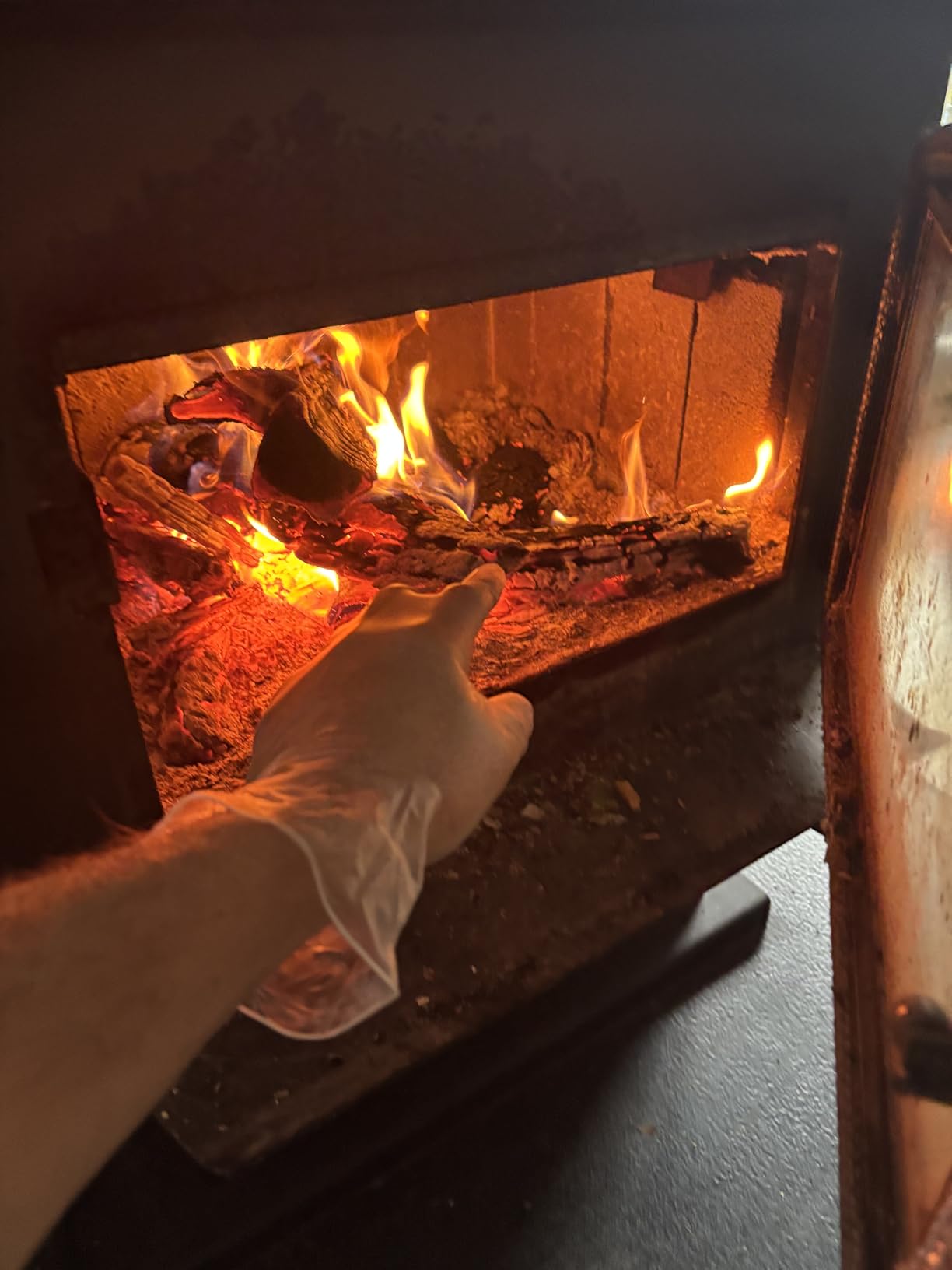 72 HRS Vinyl Gloves - 4 Mil Clear Disposable Gloves, Food Gants Jetables | Food Grade, Non Latex Gloves, Powder-free Vinyl Gants Jetables for Cooking, Food Prep & Household Cleaning view 4