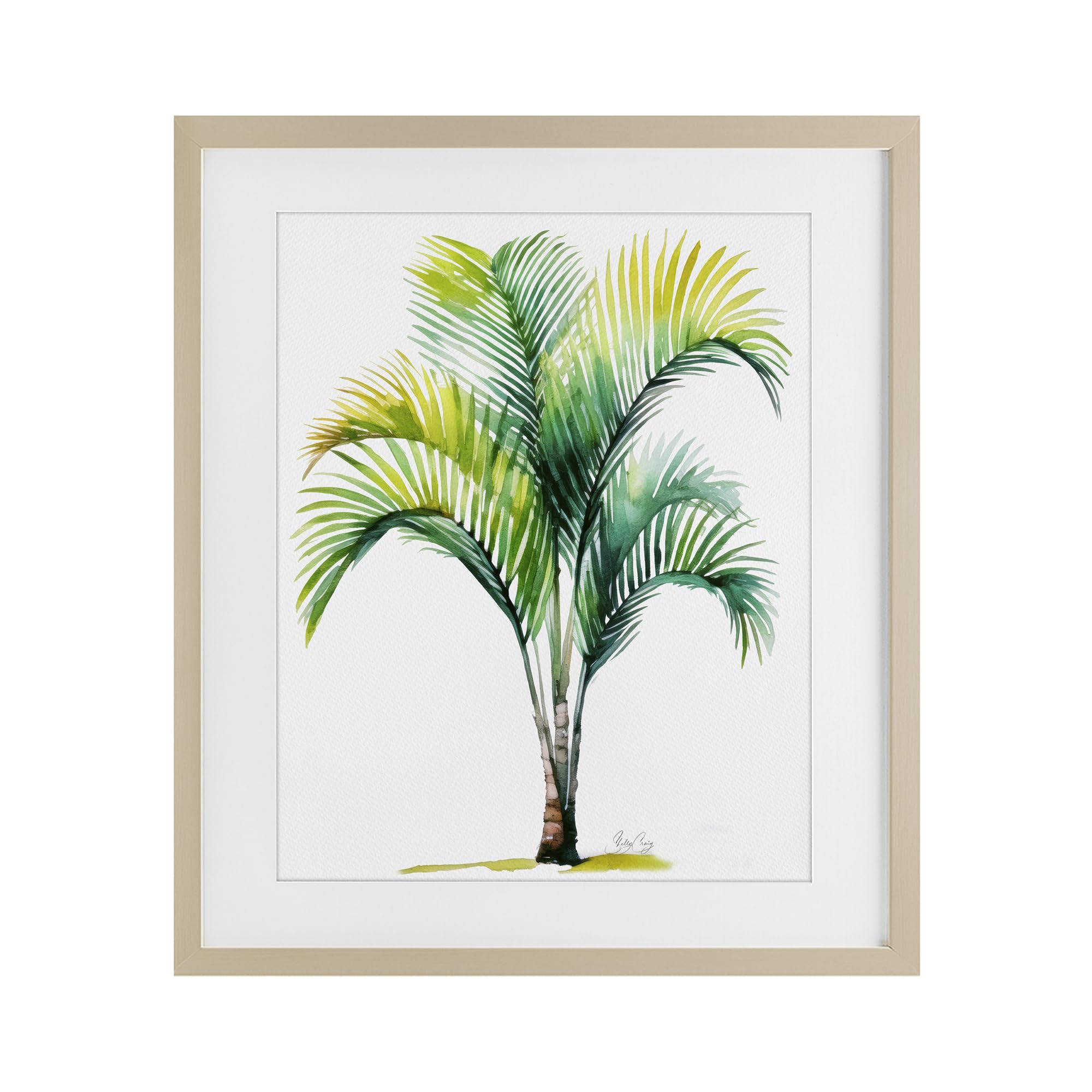 Stupell Industries 'Coastal Canopy Palm Tree', Framed Print Under Glass, Brown, 17 x 21 Inches, Easy to Hang and Sturdy, Made in USA, by Shelly Craig