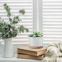 Vista 6 de Cindeer 12 juegos de macetas de cerámica para suculentas, macetas de cactus con bandeja de bambú, maceta cilíndrica pequeña con platillos de bambú
