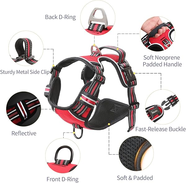 HEELE HEELE No Pull Reflective Breathable Dog Harness with Metal Hook and Padded Handle, Large Dog Harness for Walking Training, Red, XL in use