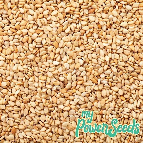 Miniatura 5 de Semillas orgánicas certificadas por My Power Seeds bolsa de 1 libra  Fuente natural de vitaminas y minerales crudas 100 sin OMG veganas sin gluten