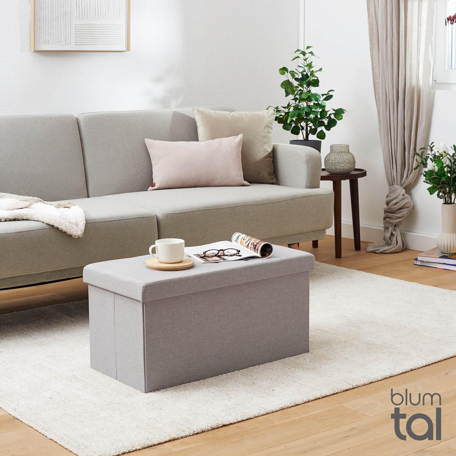 Blumtal Banc de Rangement + 2 boîtes supplémentaires - 76x38x38 cm Banc de Chambre - Gris Clair