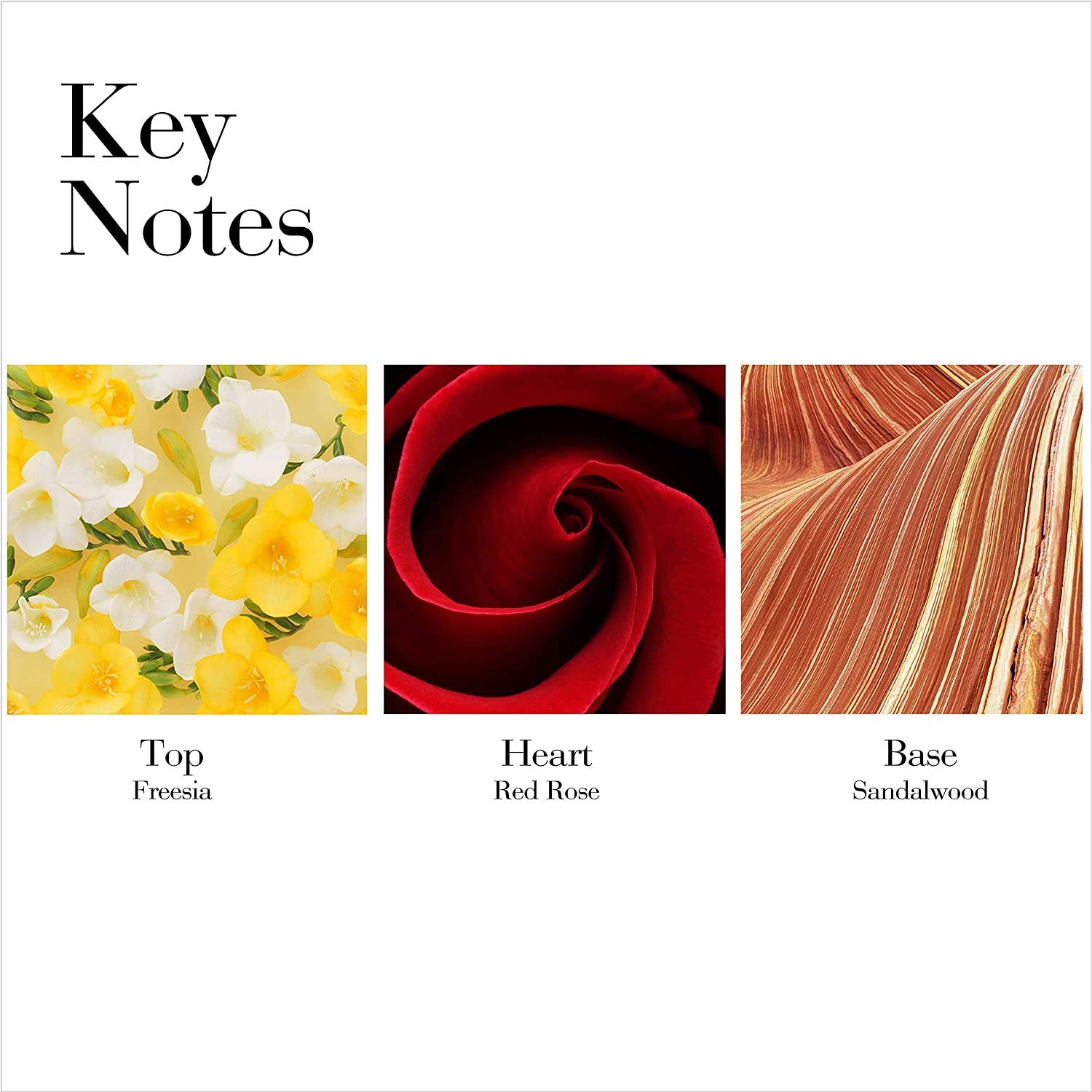 Elizabeth Arden Red Door Perfumed Body Lotion, 6.8 oz. - Image 2