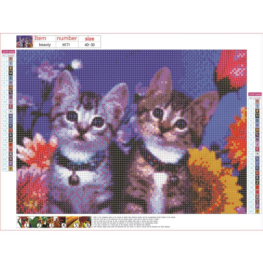 OWN4B - Kit Diamond Painting 5D Fai Da Te – Quadro Gatto Colorato Con Libellule – Tela 30x50 Cm, Confezione Completa Di Strass E Strumenti