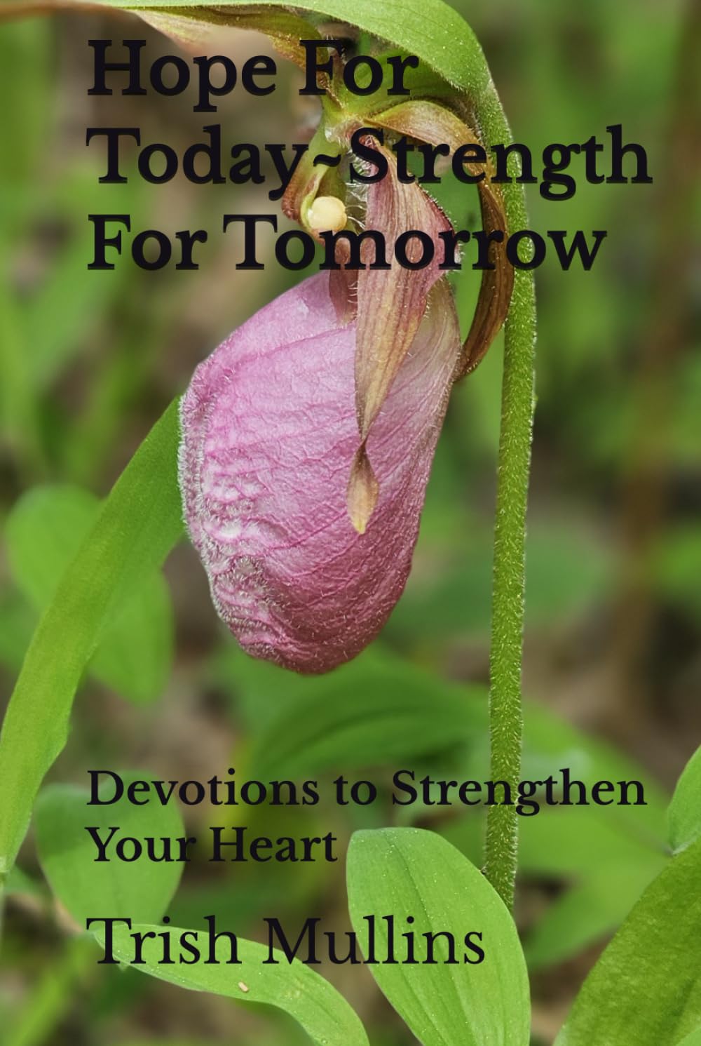 Hope For Today~Strength For Tomorrow: Devotions to Strengthen Your Heart