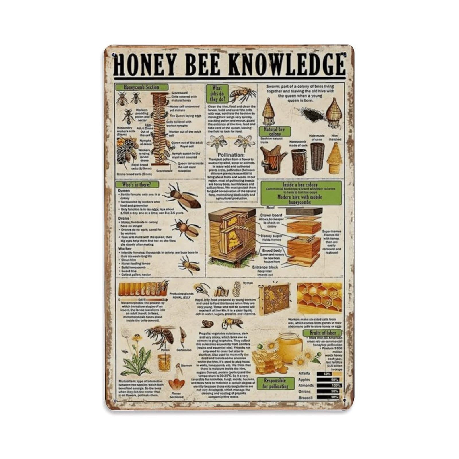 Ldfuieksufg Style Vintage Honey Bee Knowledge Metal Sign Vintage Aluminium Metal Sign, Retro Wall Decor For Home, Bar, Garage & Farmhouse 30X20cm