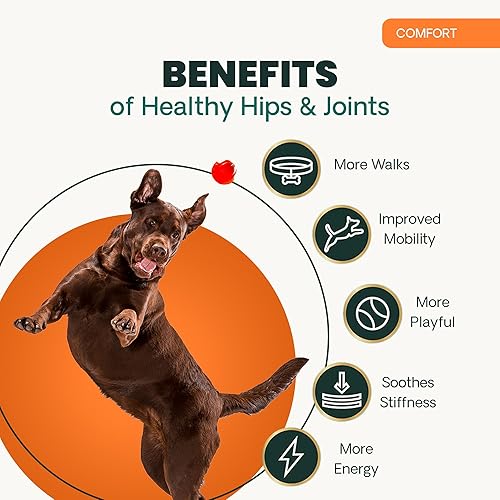 Vista 6 de VetriScience Healthy Hip & Joint Chews, GlycoFlex Glucosamine and Green-Lipped Mussel Joint Support Supplement for Dogs, Promote Mobility and