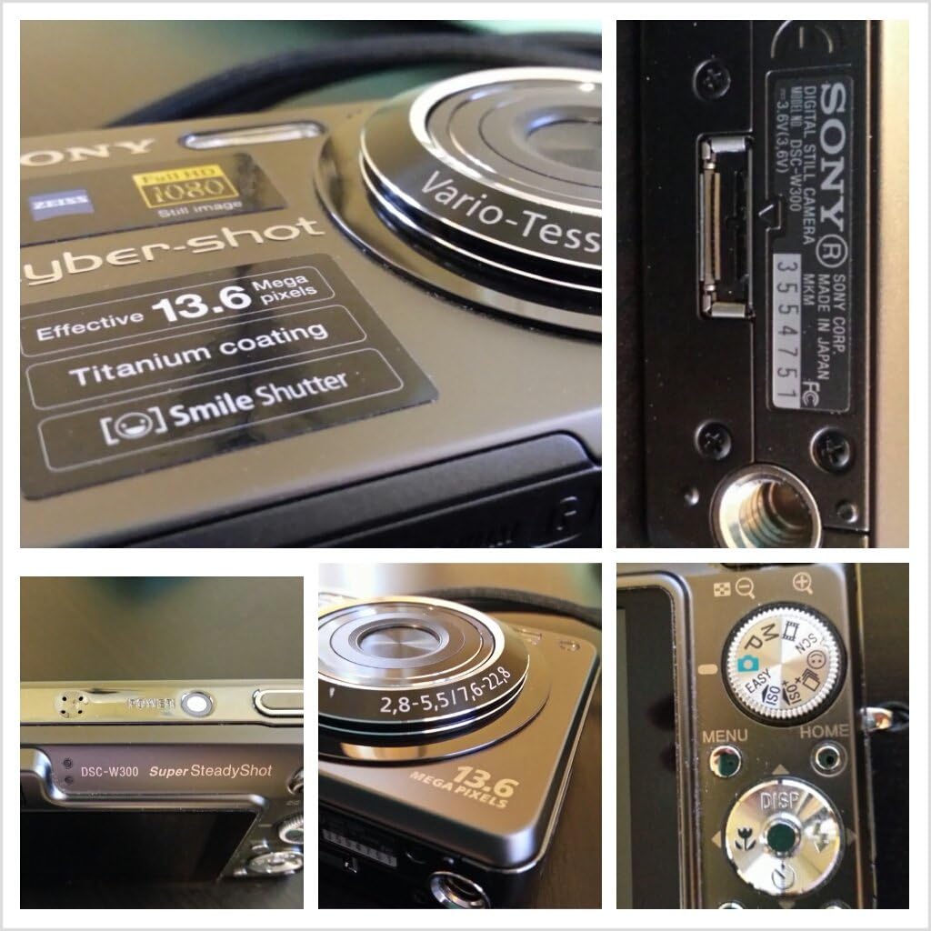 Sony Cyber-shot DSC-W300 rear view na LCD na njikwa