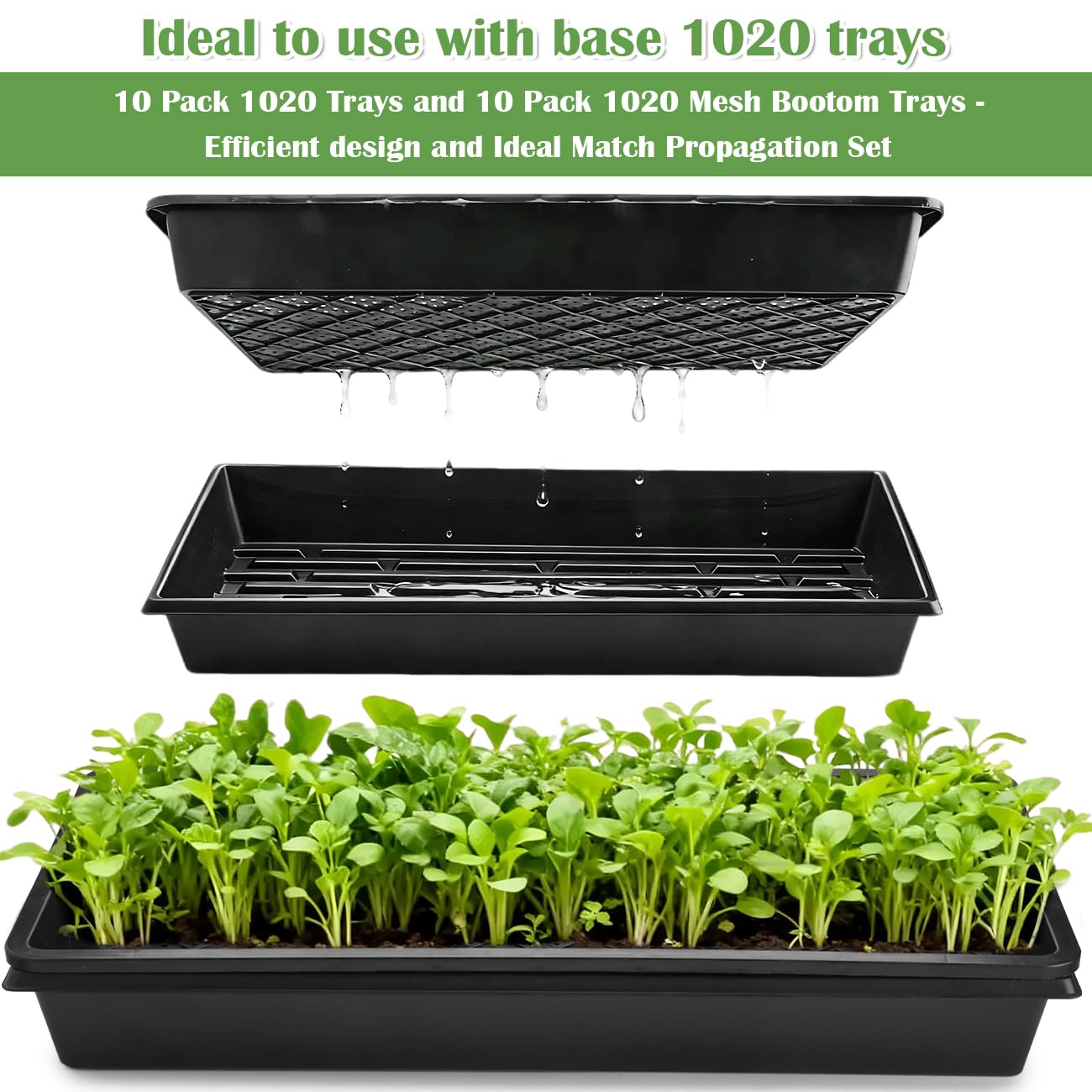 RooTrimmer Paquete de 10 bandejas 1020 y 10 bandejas de Malla 1020, 20 x 10 Pulgadas, Planos de propagación Resistentes para microverdes, Inicio de Semillas, Bloques de Tierra, hidroponía y Pasto de