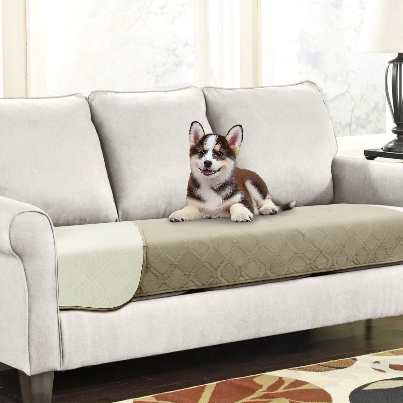 Housse pour animaux de compagnie et canapé lavable en machine kaki