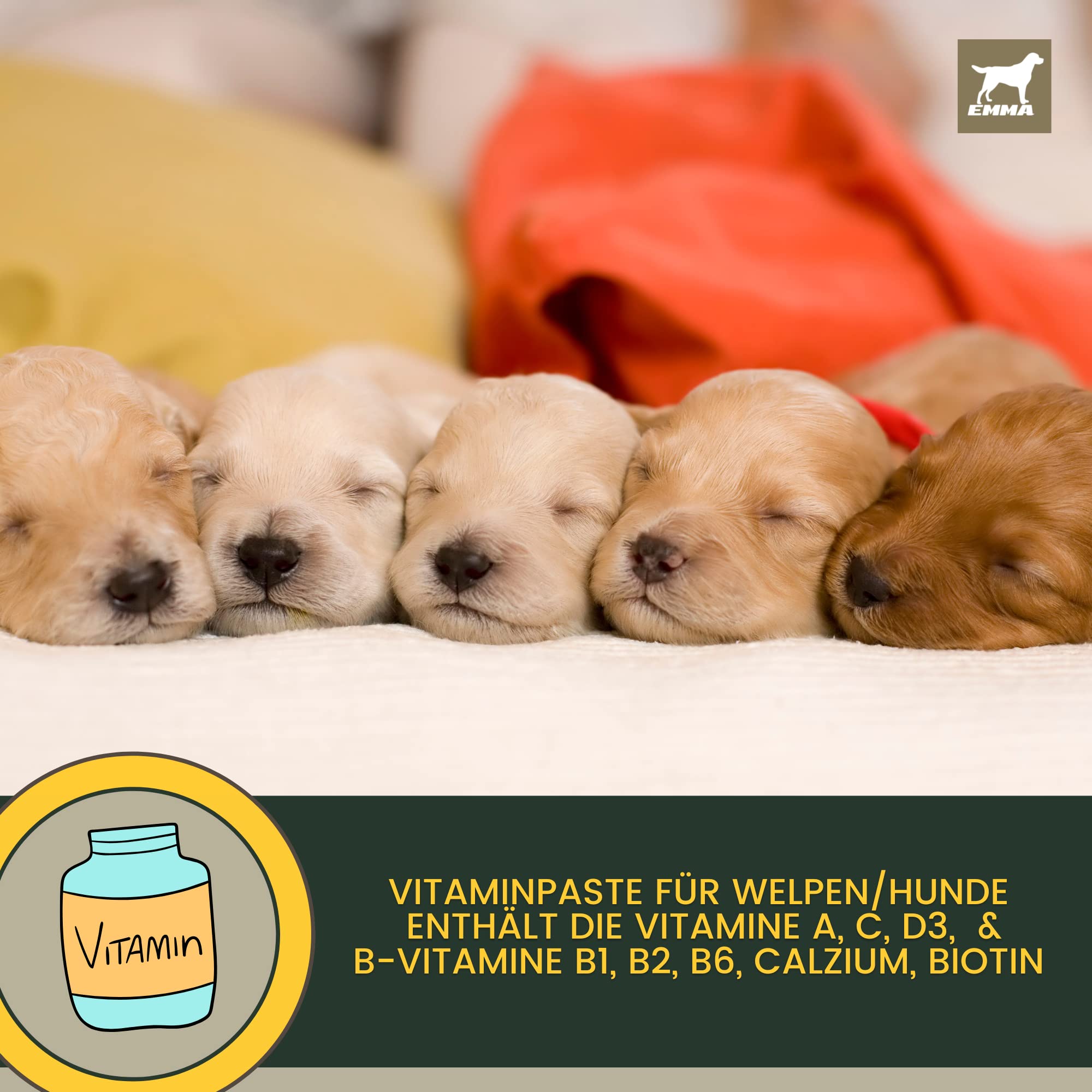 Vitamines pour Chien 0,1ml + Pâte 15ml Complexe de vitamines B Chiens Vitamines B + Vitamine A C D Calcium Renforce la vitalité Multivitamines & Minéraux Soutient Le Système Immunitaire Peau Pelage