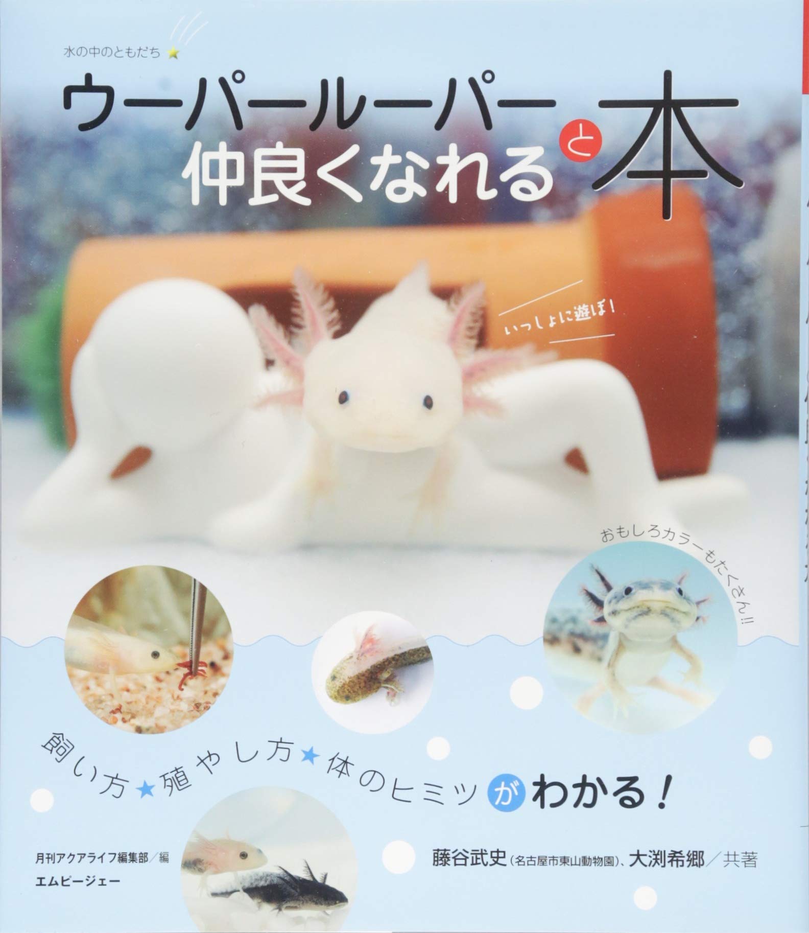 ウーパールーパーと仲良くなれる本 (アクアライフの本) | 藤谷武史