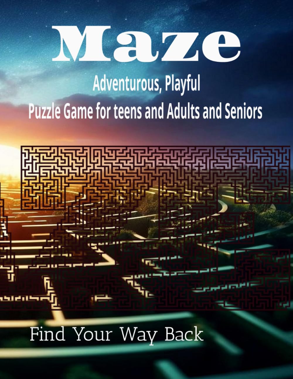 Maze Puzzle, For Teens, Adult, Seniors: Fun way to spend time while waiting. Sharp Mind, Energetic, Fun way to play with your buddies.
