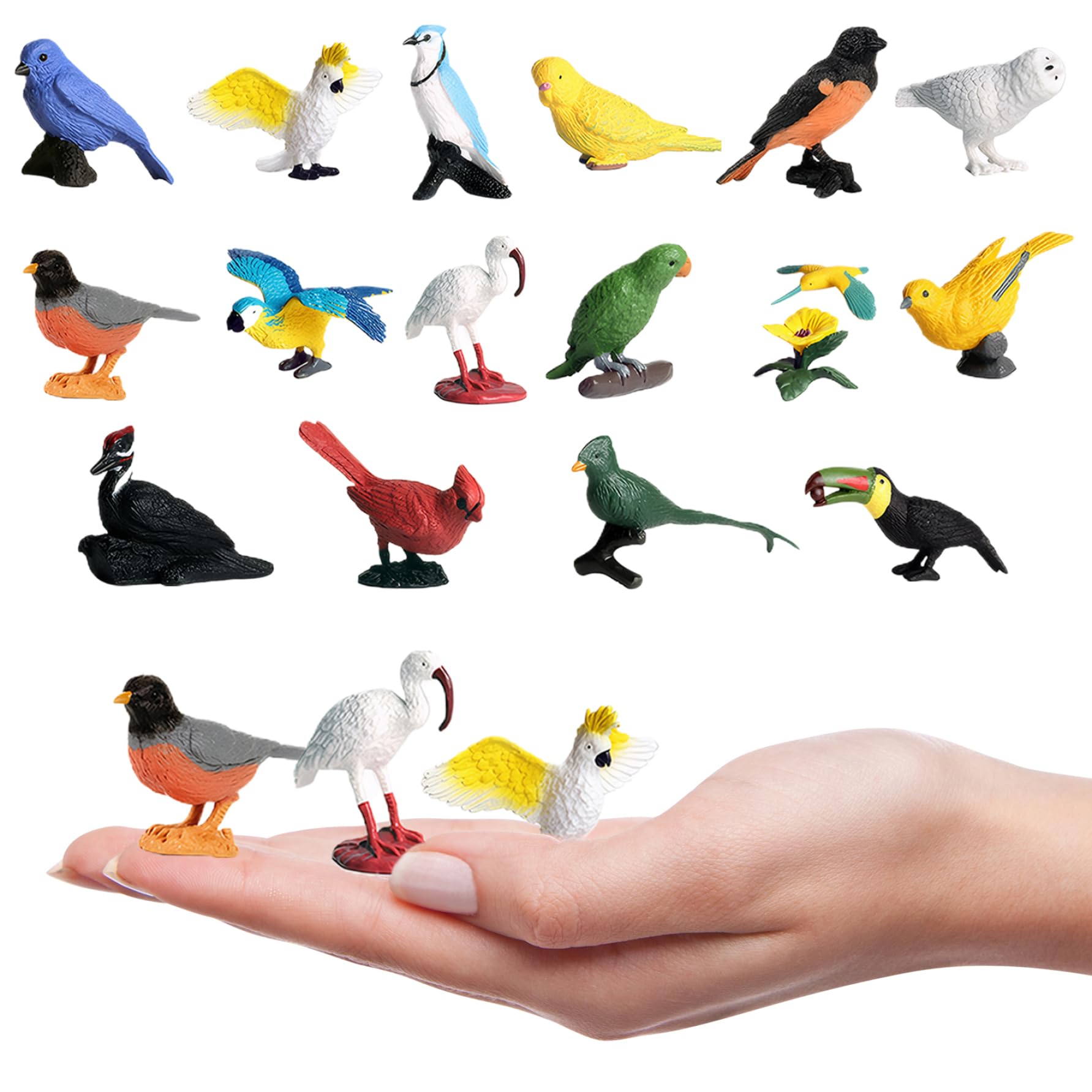 Csafyrt 16 Figuras De Aves Realistas – Juguetes De Plástico No Tóxico Para Niños, Educativos Y Decorativos (Set De 16 Especies)