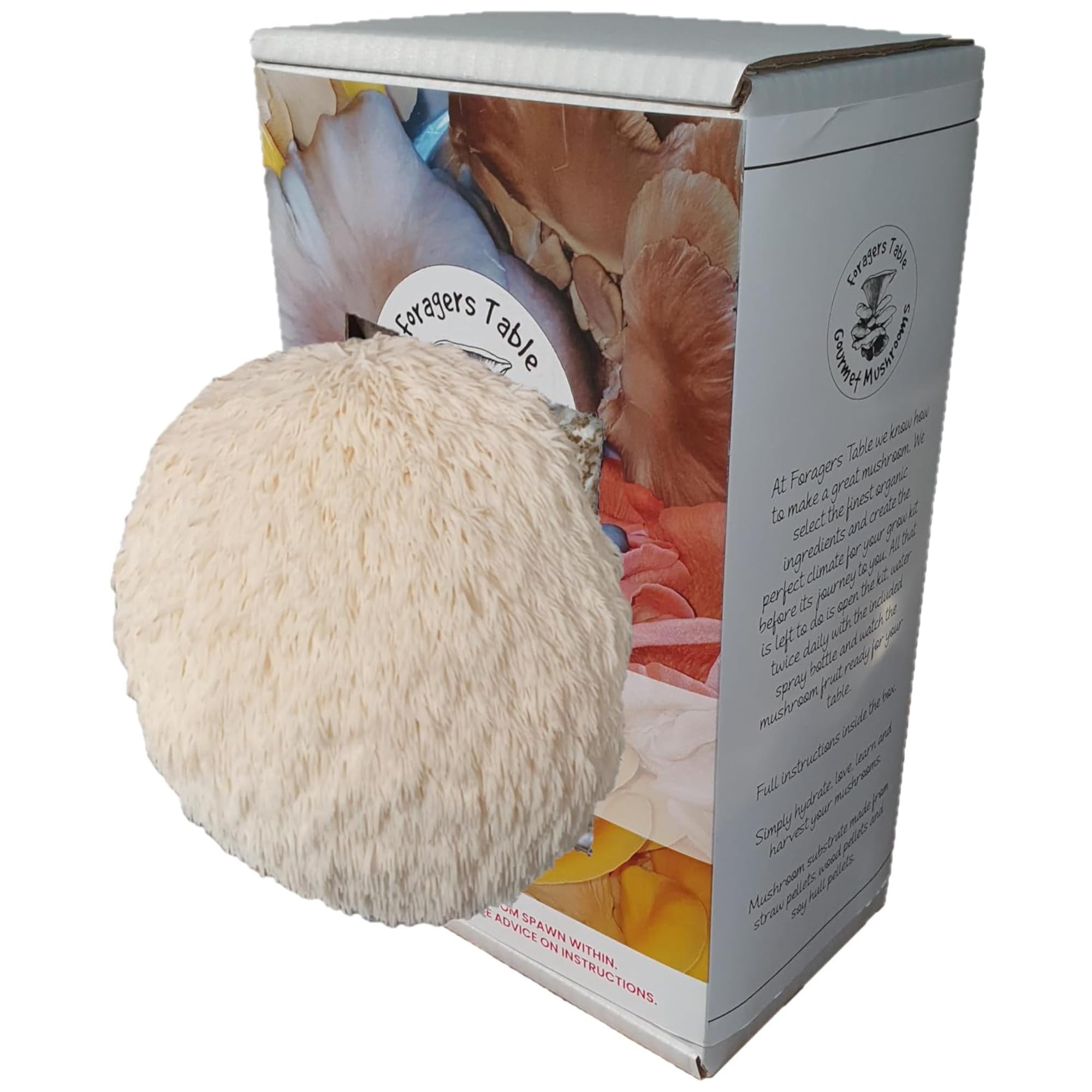 Lion's Mane Mushroom Growing Kit | Ready to Grow Mushrooms Kit | Fun to Grow & Delicious to Eat | Grow Your Own Kits Foragers Table