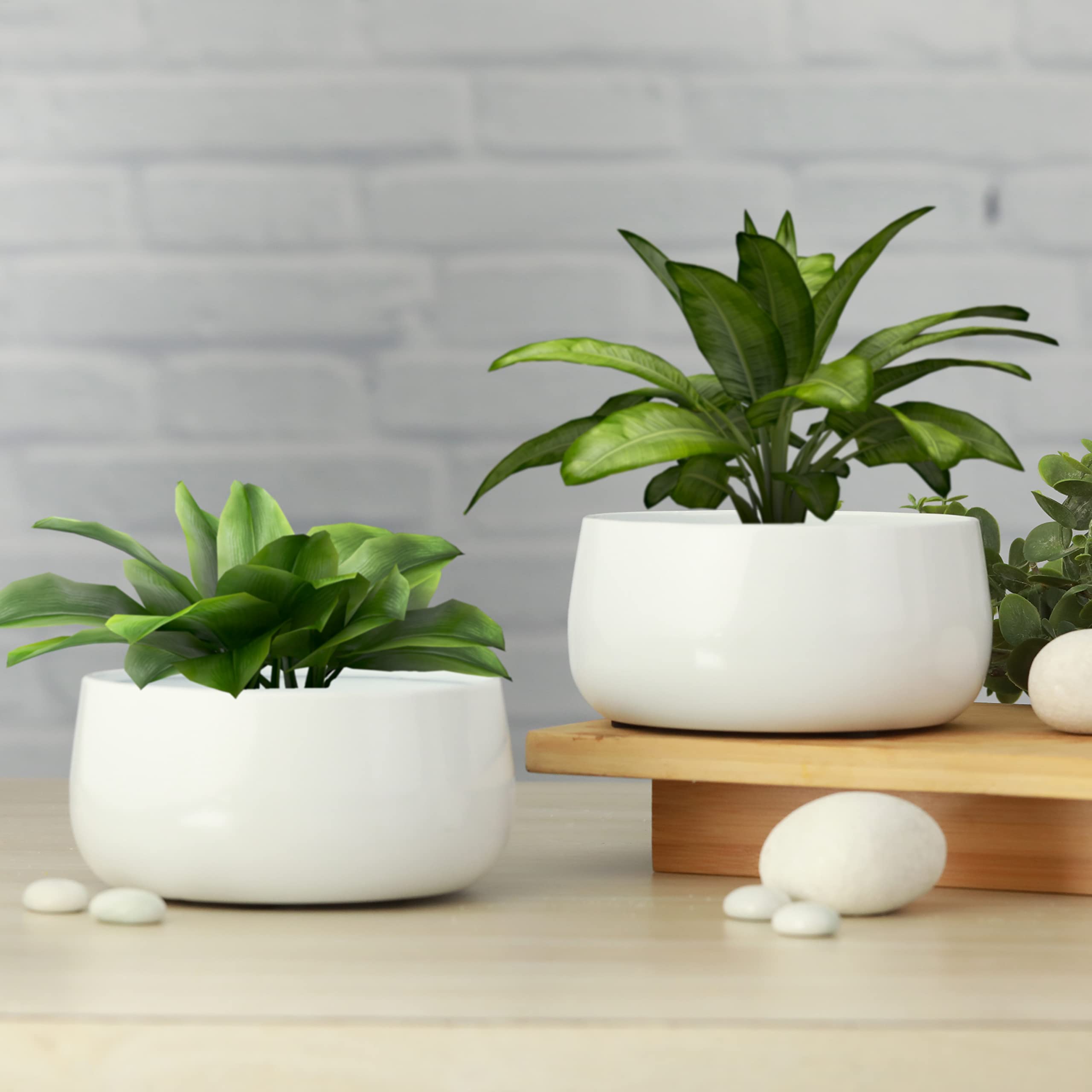Homspurts Table Top Planter for Living Room, Home Decor, Terrace, Balcony & Home Gardening (Matte White,D- 5.5 inch H-3 inch, Set of 2)