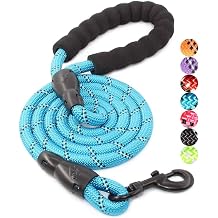 BAAPET Dog Lead with Comfortable Padded Handle and Strong Reflective Threads - Pink