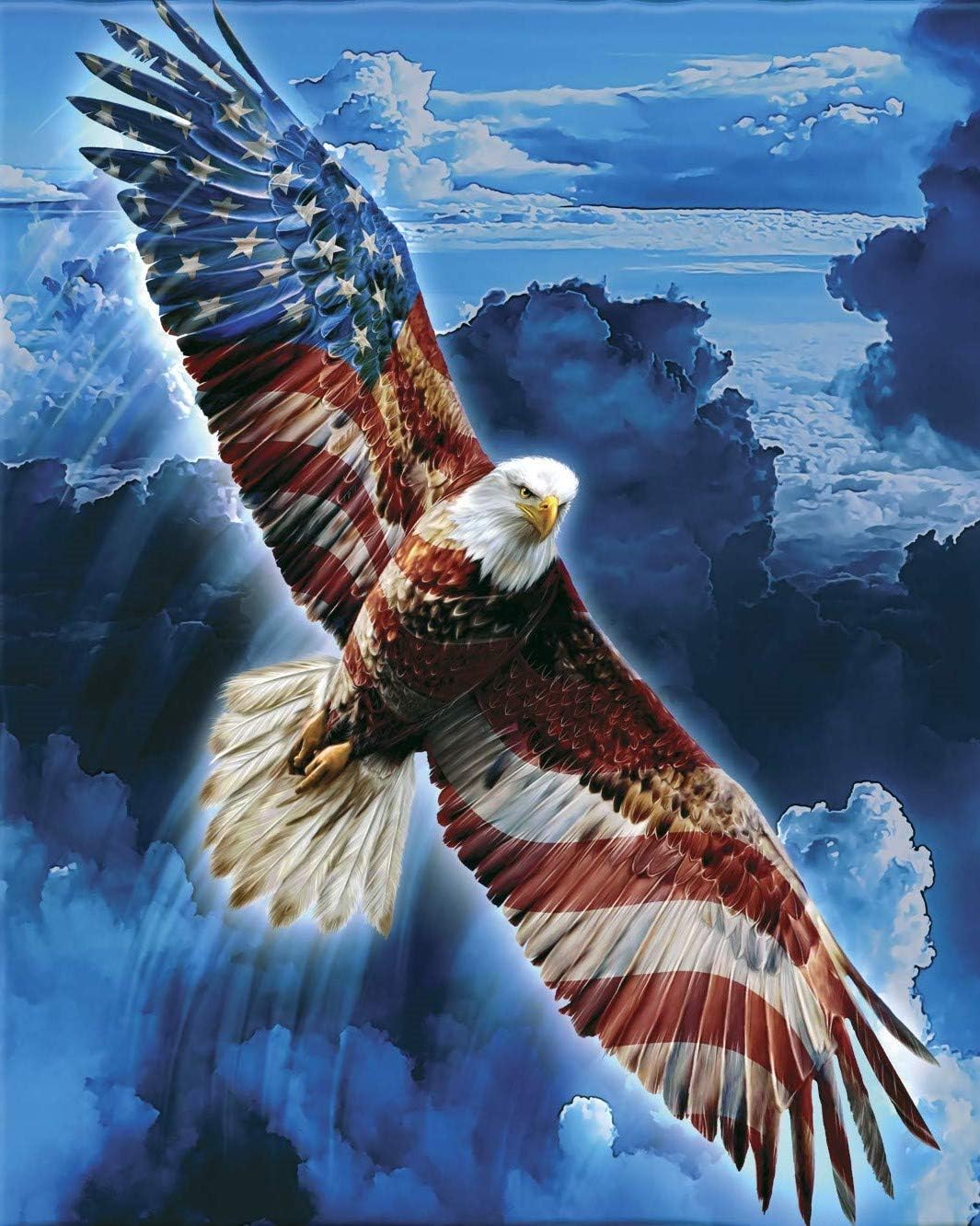 Amazon.com: Eagle with Flag Edible Cake Topper : Grocery &amp; Gourmet Food