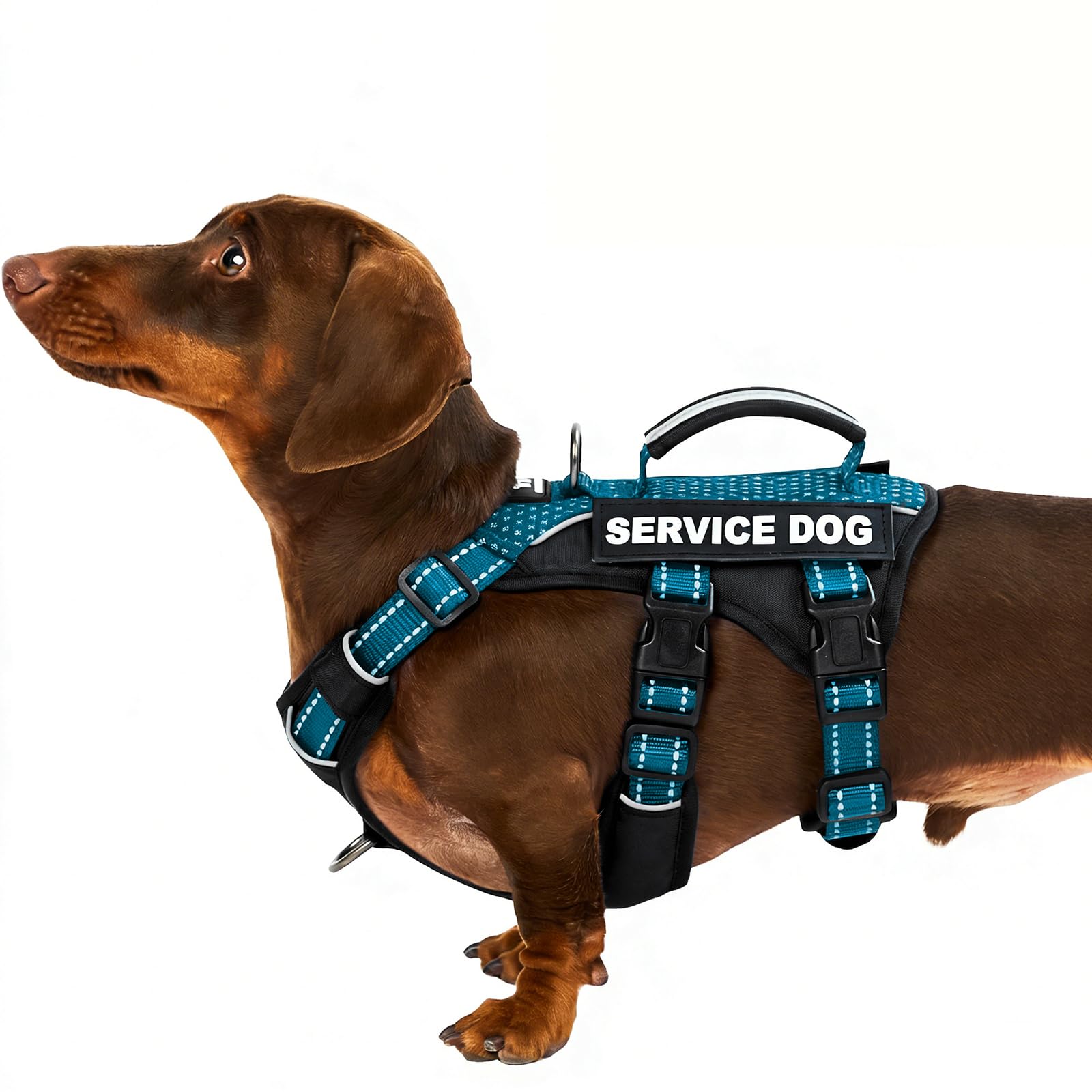 Huntboo Escape Proof Dog Harness Small Dog, Service Dog Harness with 6 Patches, No Pull Harness for Dogs with Handle, Reflective Adjustable Vest for Training, Walking, Outdoor (Teal,S)