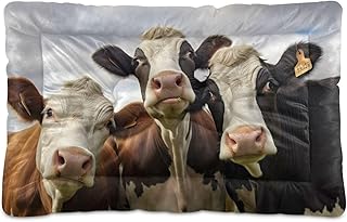 Kigai Cows Dog Bed Machine Washable Pet Bed Mattress Comfortable Soft Pet Bed Mat Non-Slip Bottom Couch for Small Medium Dogs,24x18 Inch