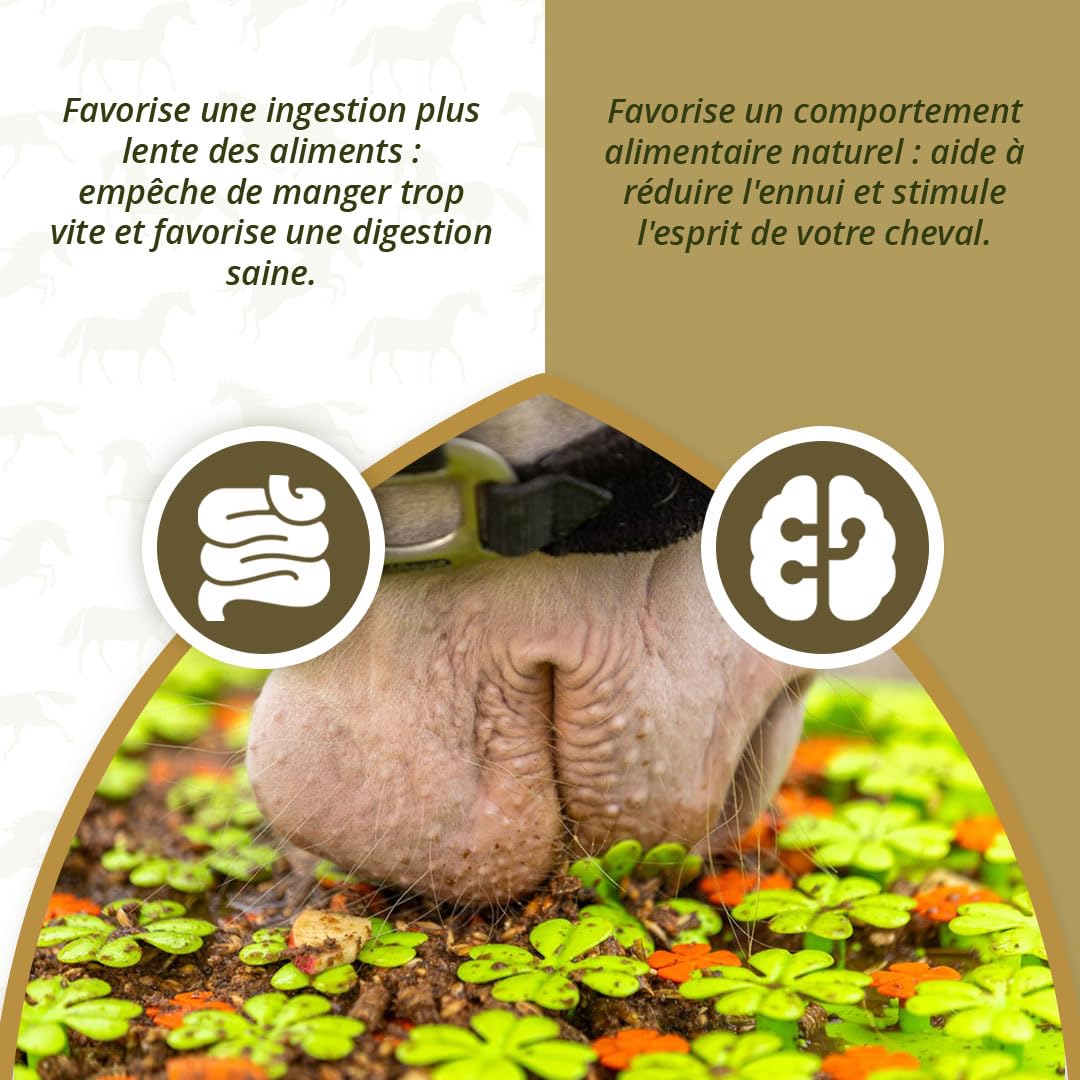 Holland Animal Care Excellent Tapis de Fouille pour Chevaux 50 x 50 cm – Jouet et Tapis d’Alimentation pour Chevaux – Tapis de flairage Contre l’Ennui – Convient à Tous Les Chevaux – Vert