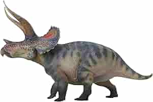 Amazon.com: HAOLONGGOOD New Triceratops 1：35 Science and