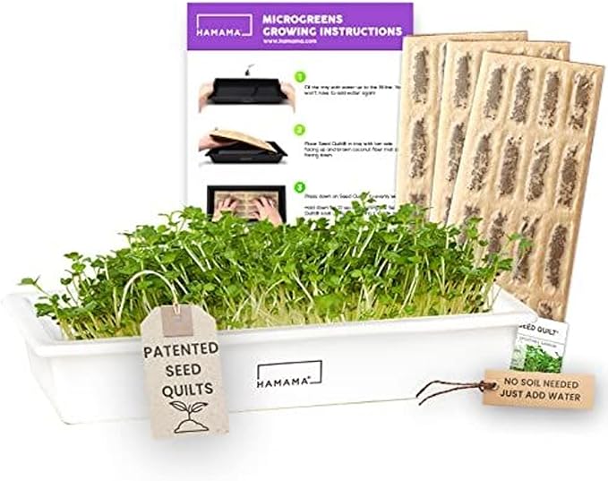 Hamama Microgreens Growing Kit