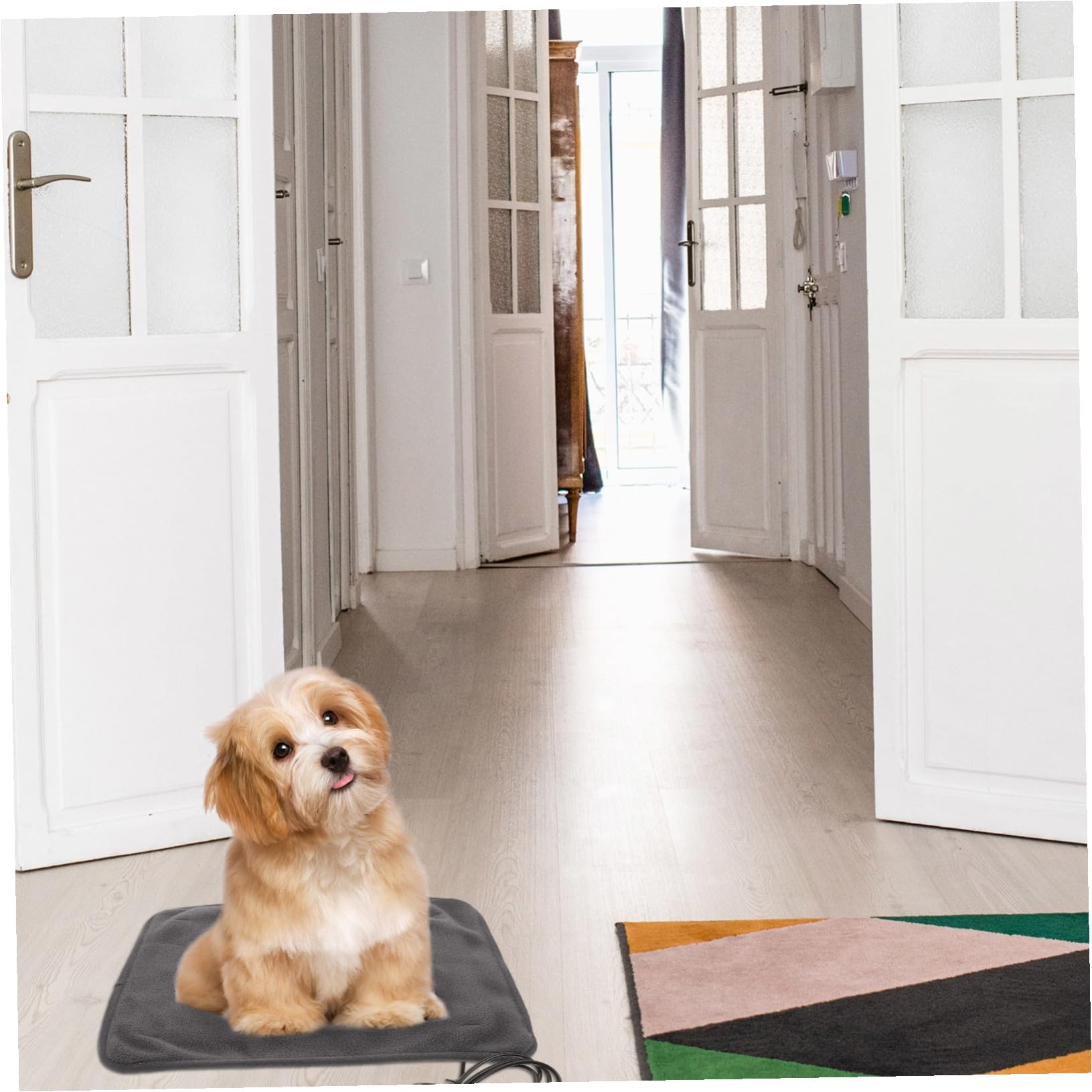 Tapis Chauffant Coussin Thermique Réglable USB pour Animaux pour Chat
