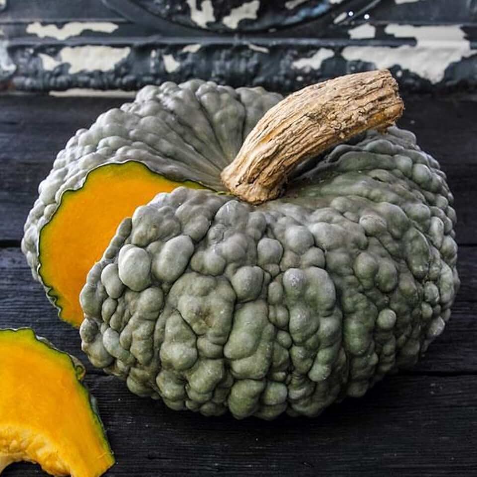 41,047 ухабисто стоковые фото - бесплатные и стоковые фото RF от Dreamstime - Ст