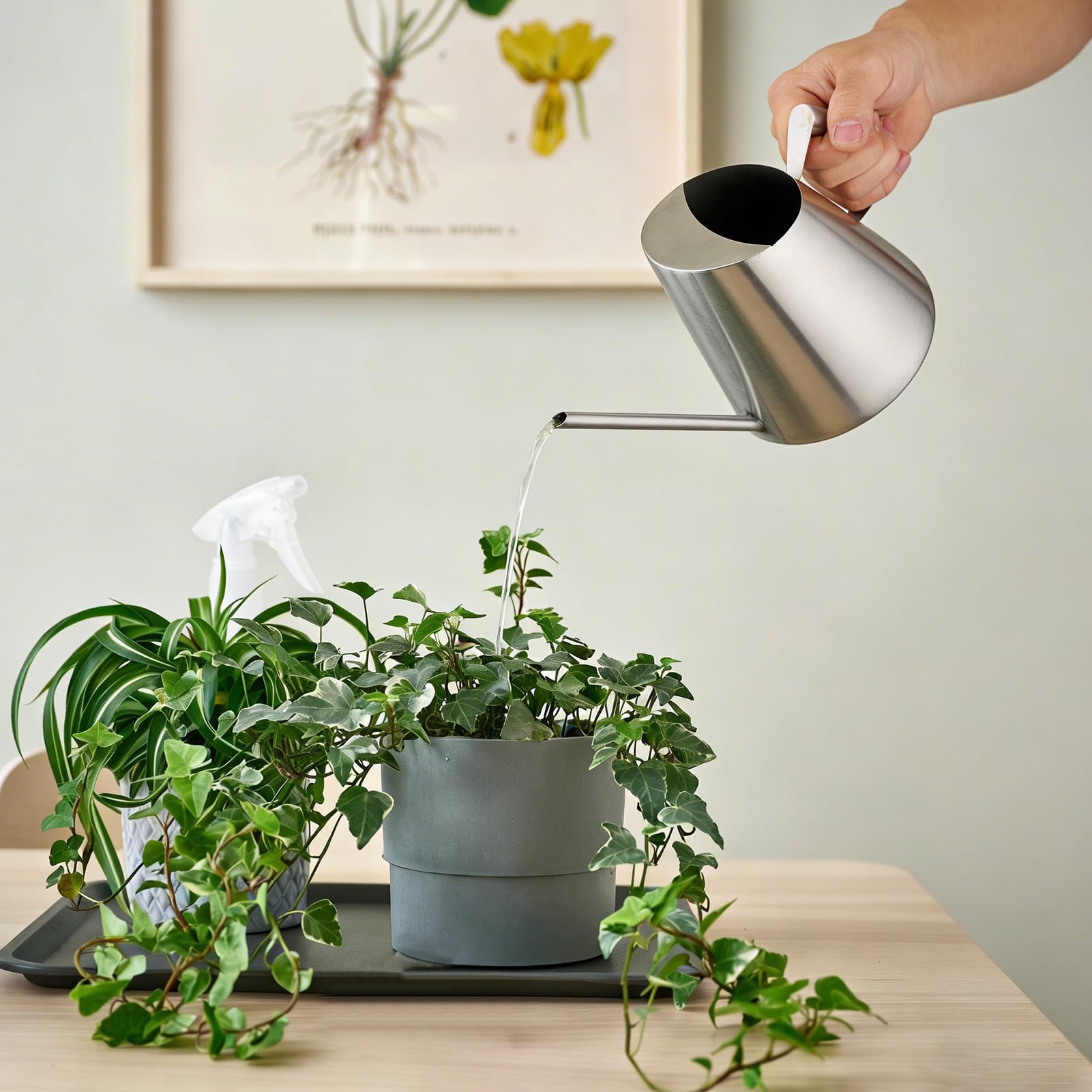 Annaffiatoio 1.5 Litri,Annaffiatoio in Acciaio Inossidabile Grande Innaffiatoio Annaffiatoio Bonsai con Manico Addensato per Irrigazione Giardinaggio Piantare in Interni All'aperto