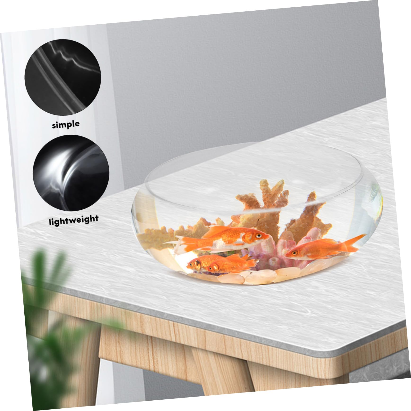Transparentes Aquarium 24x24x21cm - Goldfischglas Für Schreibtisch & Wohnzimmer