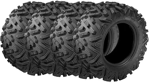 MOTORHOT Neumáticos ATV UTV 25x8-12 delanteros y 25x10-12 traseros 6 capas deportivos todo terreno sin cámara estilo cuerno grande - Juego completo