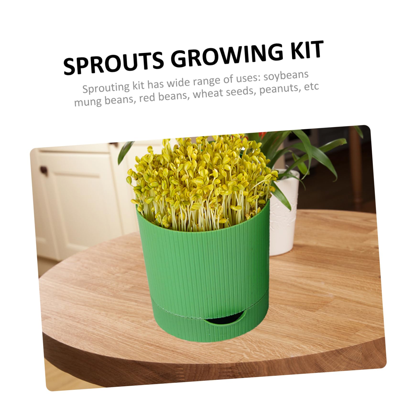BESPORTBLE Kit de Germination de Graines, Plateau Germoir en PP et Pierre, Réutilisable, Respirant, Évacuation D’Eau, pour Soja et Blé, Restaurant ou Jardin