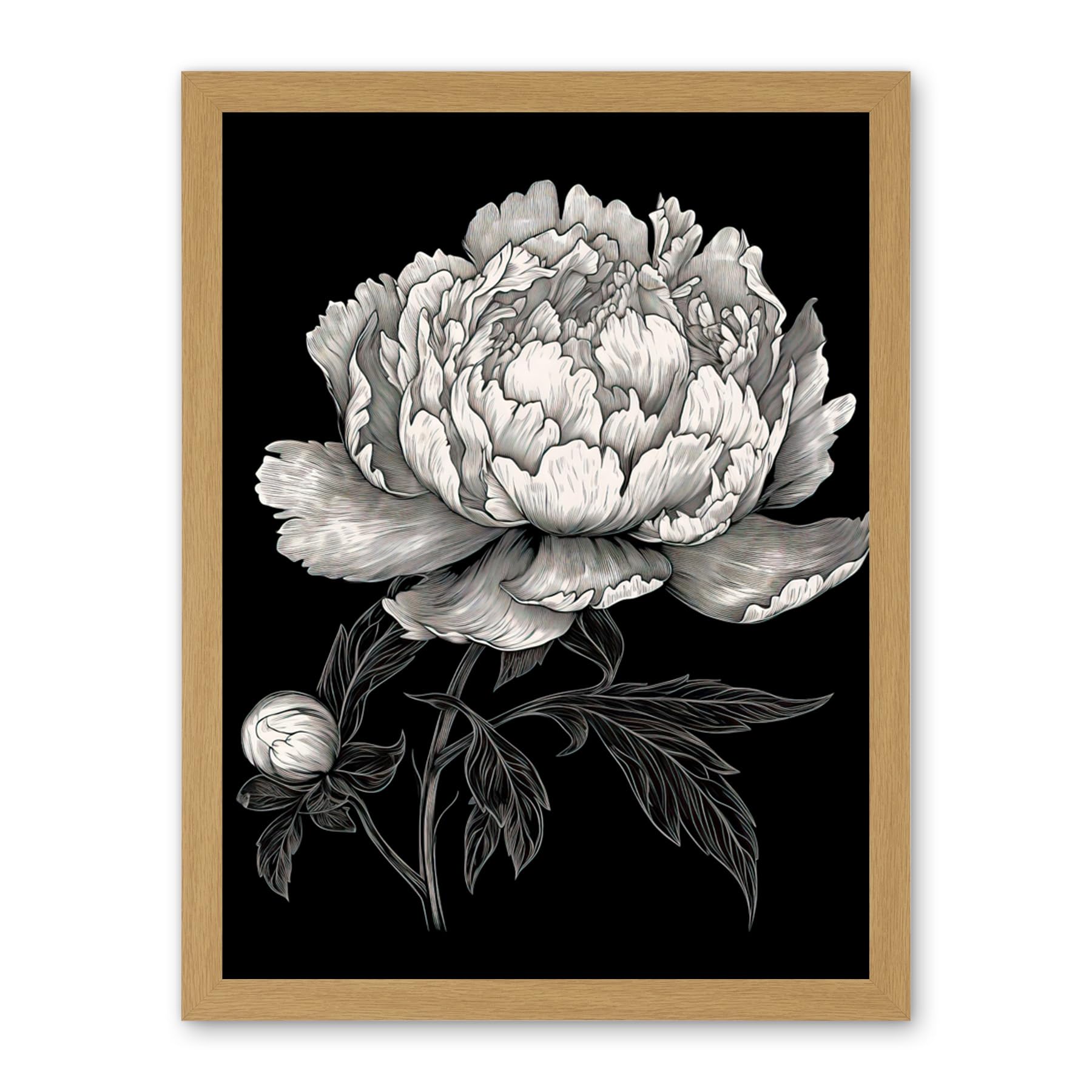 Artery8 A Peony Flower Bloom Black and White Blind Contour Artwork Framed Wall Art Print 18X24 Inch