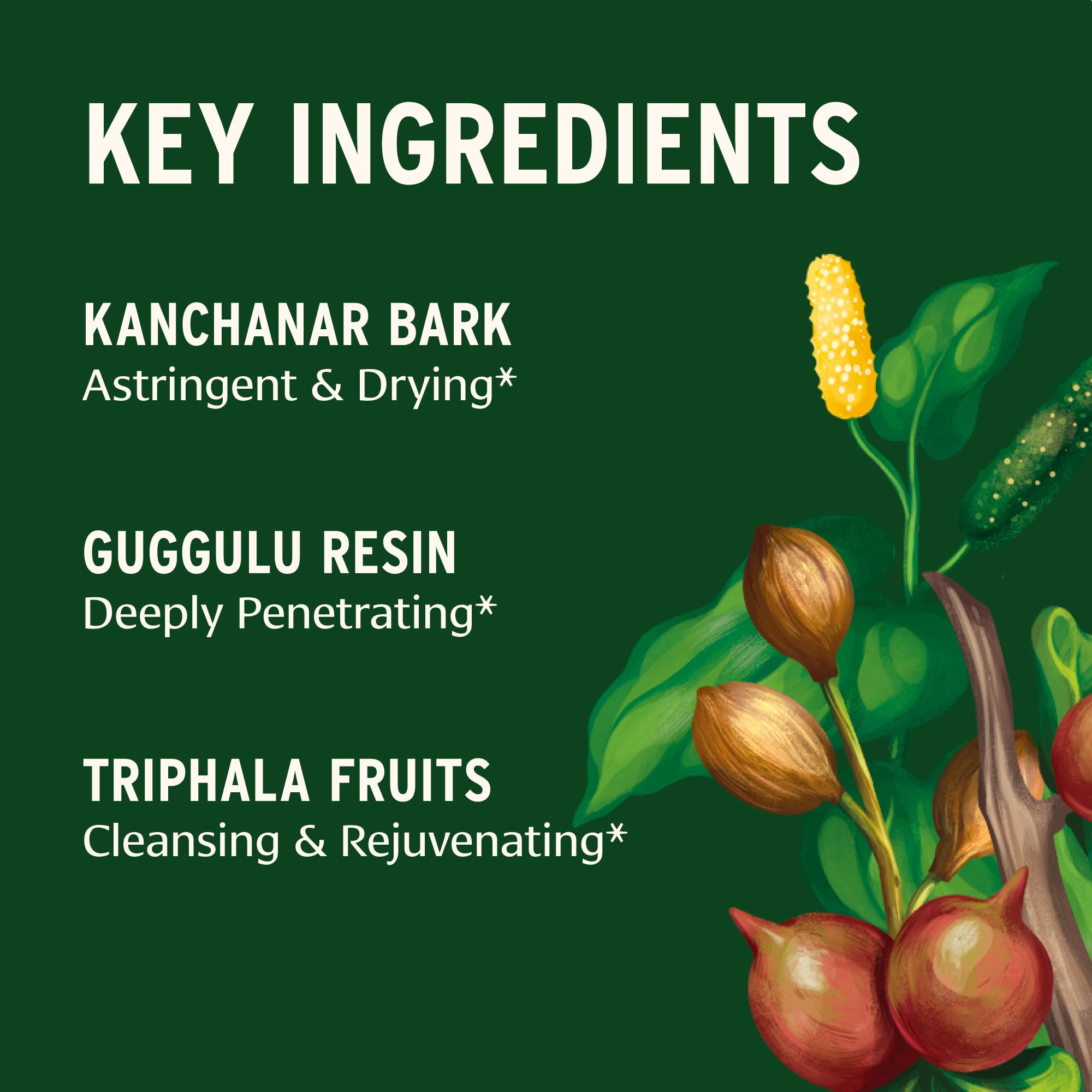 Banyan Botanicals Kanchanar Guggulu Tablets – Organic Lymph Supplement with Guggulu Resin – Promotes the Healthy Elimination of Natural Toxins* – 90 Tablets – Non-GMO Sustainably Sourced Vegan — Amazon image 3