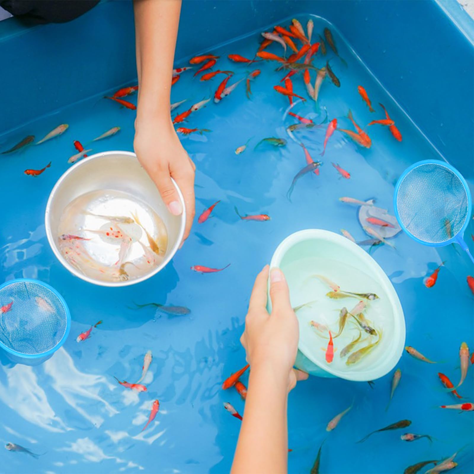 3 Retini Per Acquario - Manico Estensibile 20-48 Cm, Nylon Morbido - Per Pesci E Gamberetti - Foto 10