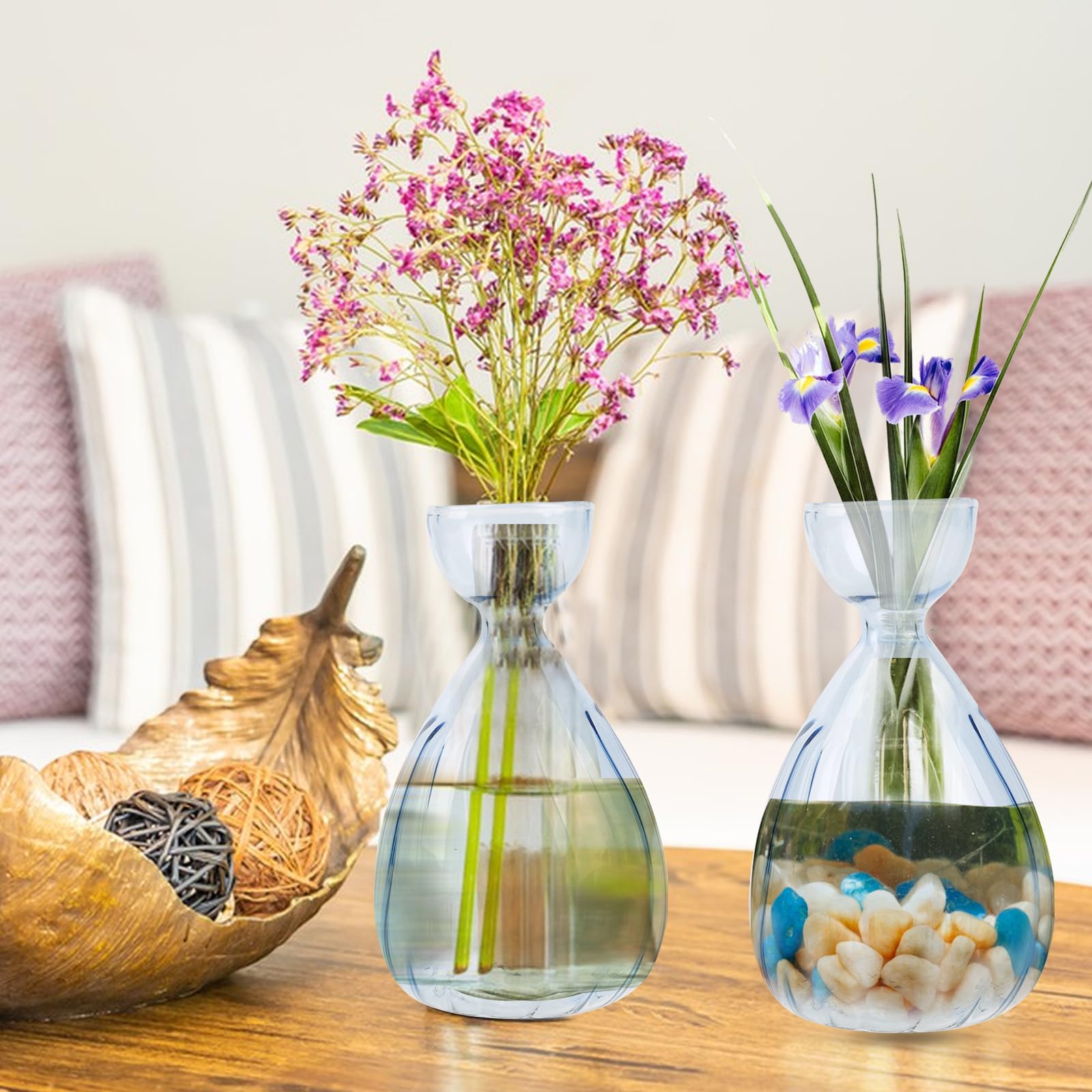 YWNYT Vase En Verre Pour Graine D'Avocat - Kit Hydroponique Design Minimaliste Pour Culture Intérieure