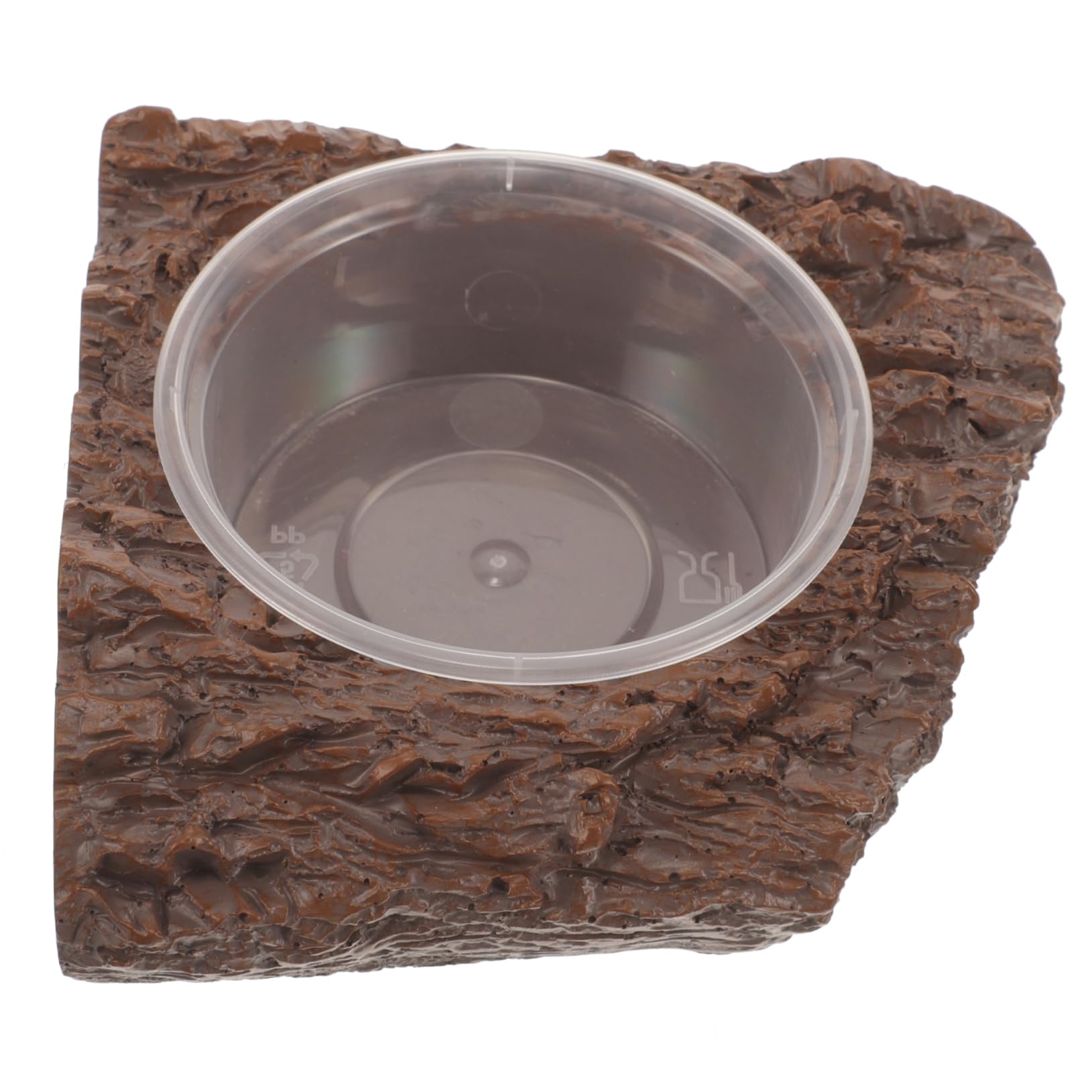 Bol de nourriture et eau Toddmomy pour reptiles et lezards