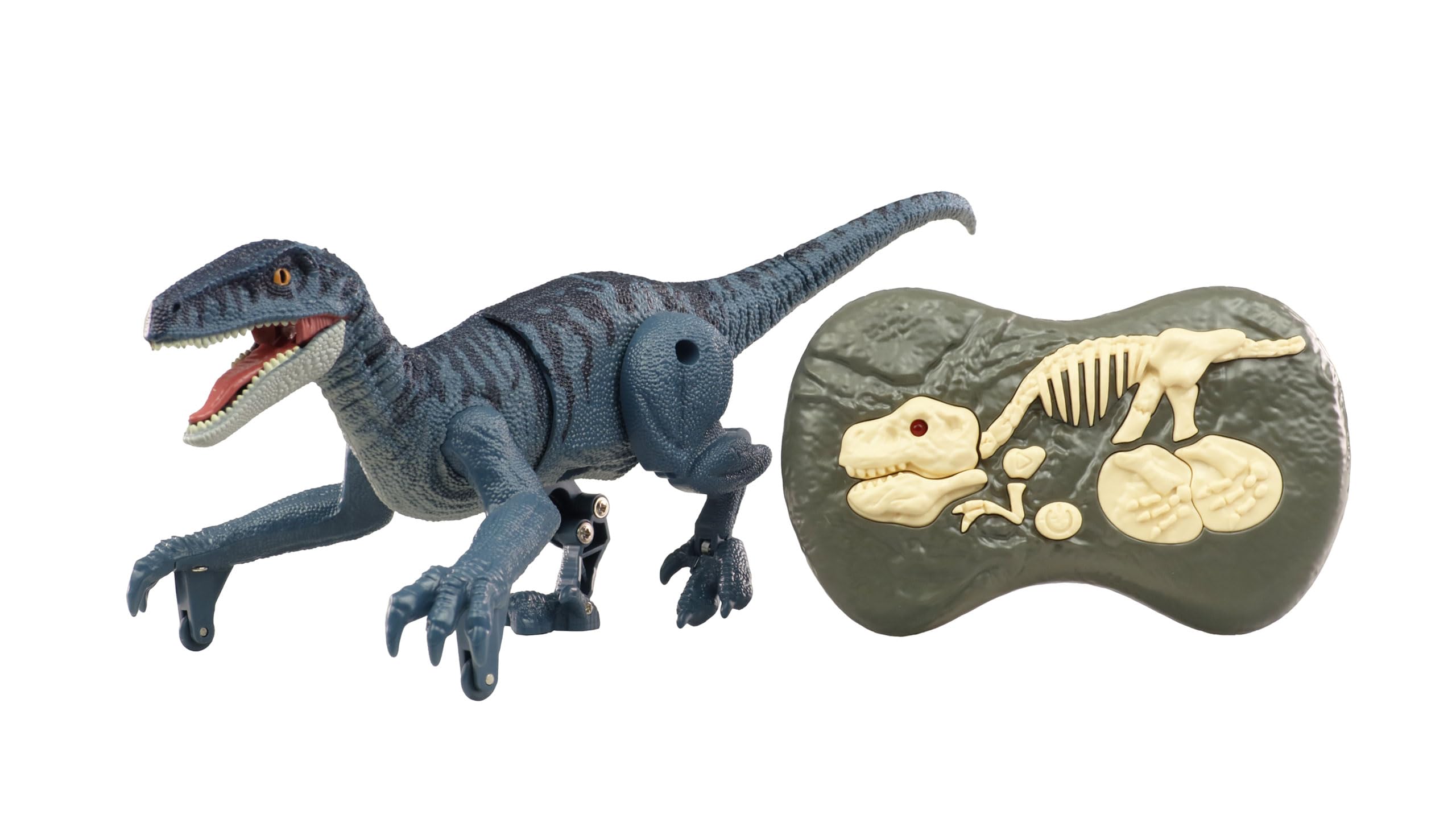 Amewi 40010 Velociraptor RC dinozaur 21 cm RTR