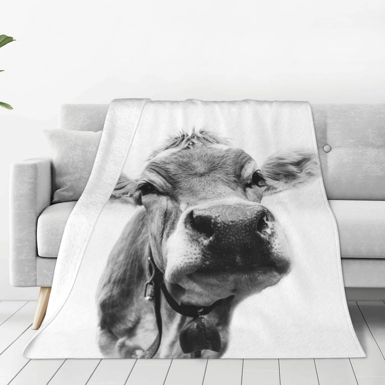 Lsjuee Throw Blanket Cows Warm Cozy Soft Lightweight Flannel Fleece Blanket for Bedroom Sofa Room Home Decorative Fuzzy Blanket 40"x30"