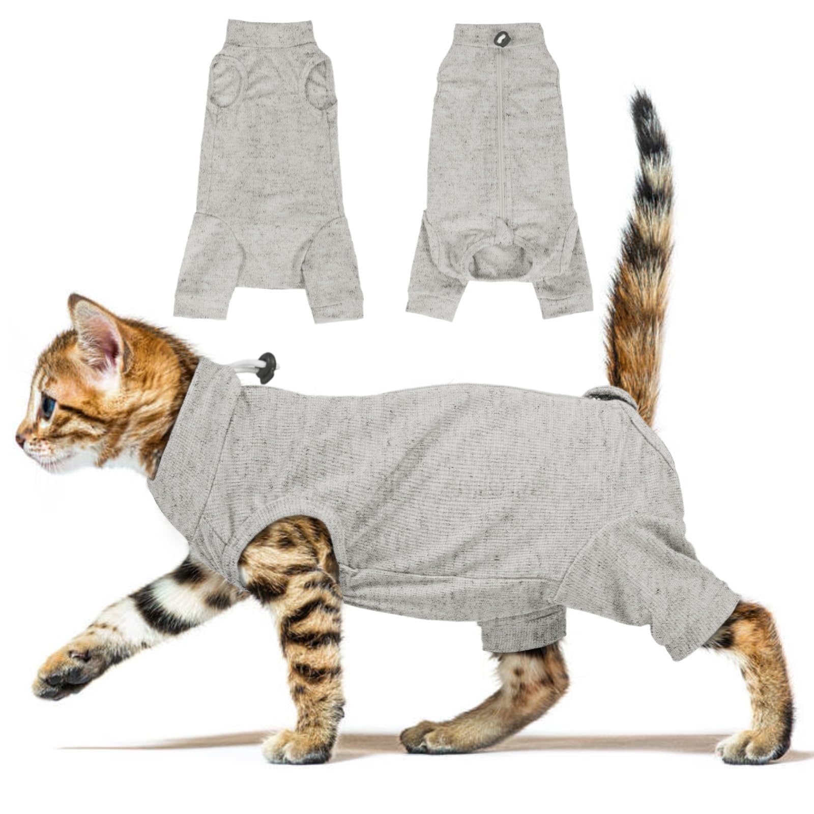 Combinaison convalescence chat pattes arrière pyjama chirurgical anti-léchage plaies
